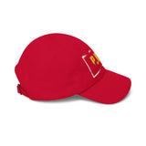 Dad Cap — P.V.D. Distressed Logo Hat | Vintage-Stencil Baseball Cap for Urban, Casual Wear