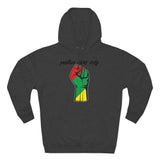Unisex Premium Pullover Hoodie - PVO Store