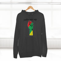 Unisex Premium Pullover Hoodie - PVO Store