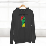 Unisex Premium Pullover Hoodie - PVO Store