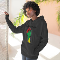 Unisex Premium Pullover Hoodie - PVO Store